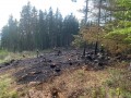 12. 5. 2022 Náhořany - požár lesa