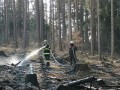 Požár  lesa u Lštení 9.4.2020